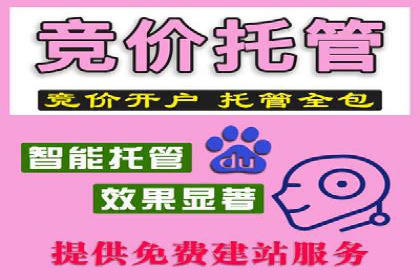 某知名企业SEM主管的成长之路